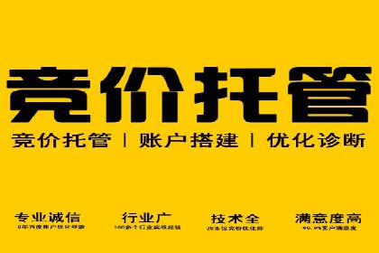 案例解析：SEM投放助力电商增长